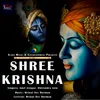 About Shree Krishna Song